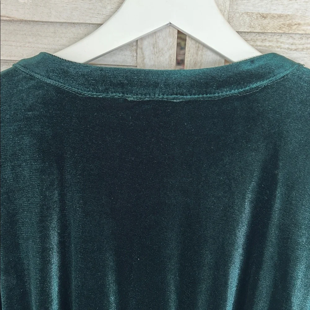NWT Draper James RSVP Elegant Long Sleeve Velvet Dress. Size XL - Picture 9 of 11